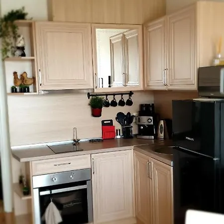 Vsg Apartments Family Apartment